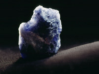 20050901170556.jpg