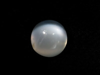 279302.jpg